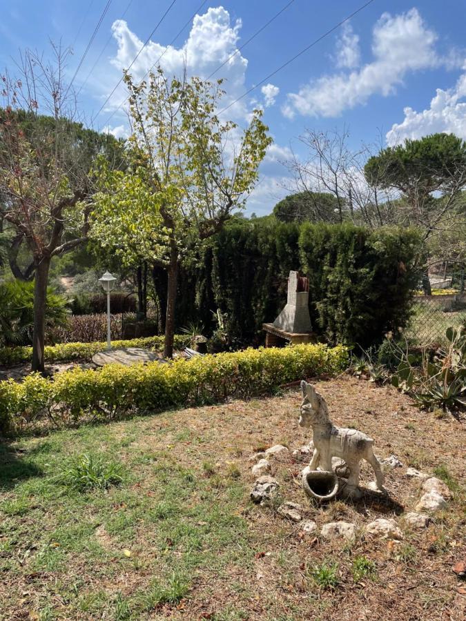 Villa Herlinda Costa Brava - With Swiming Pool Massanet De La Selva Eksteriør bilde
