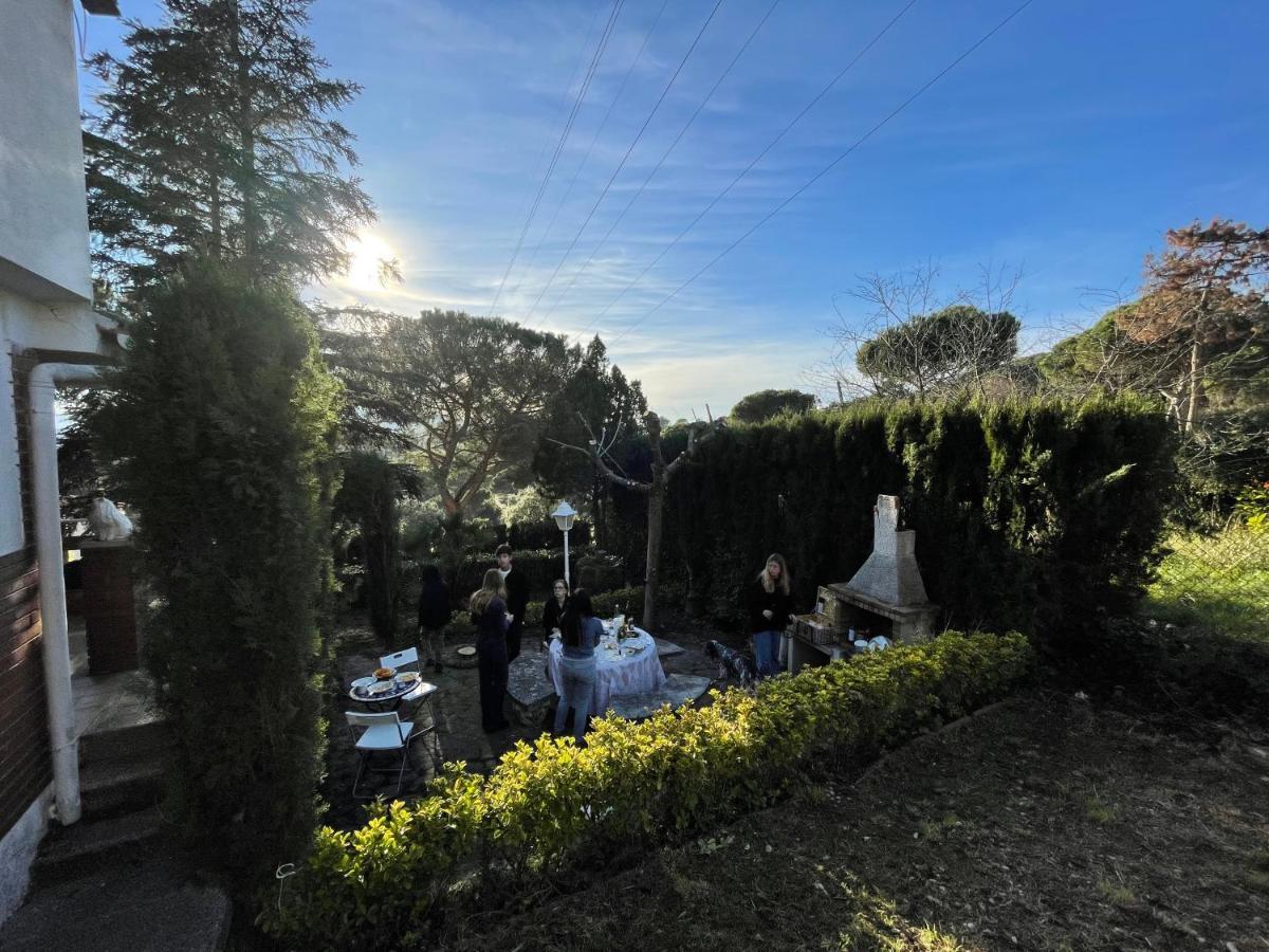 Villa Herlinda Costa Brava - With Swiming Pool Massanet De La Selva Eksteriør bilde