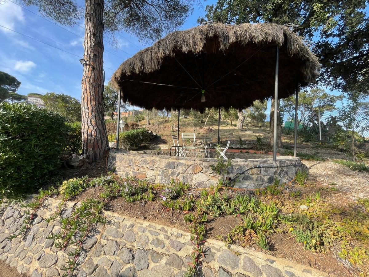 Villa Herlinda Costa Brava - With Swiming Pool Massanet De La Selva Eksteriør bilde
